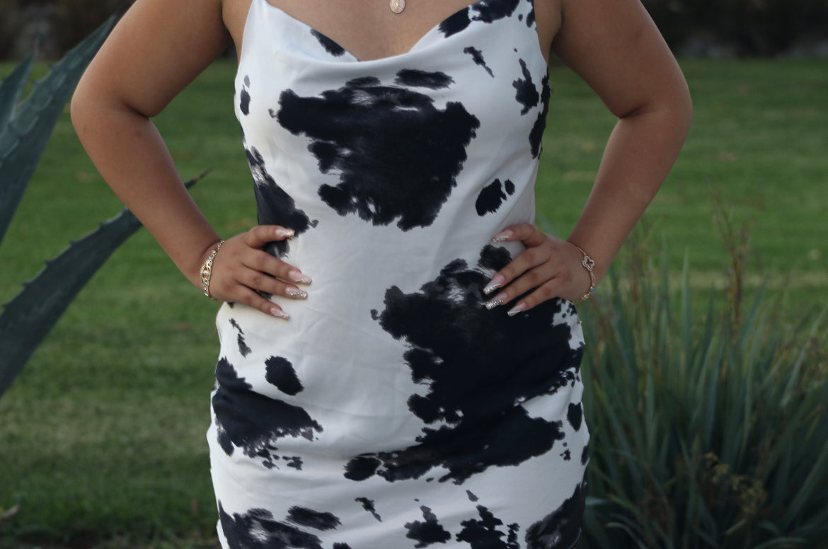 Eli dress